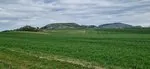 Ubytování
