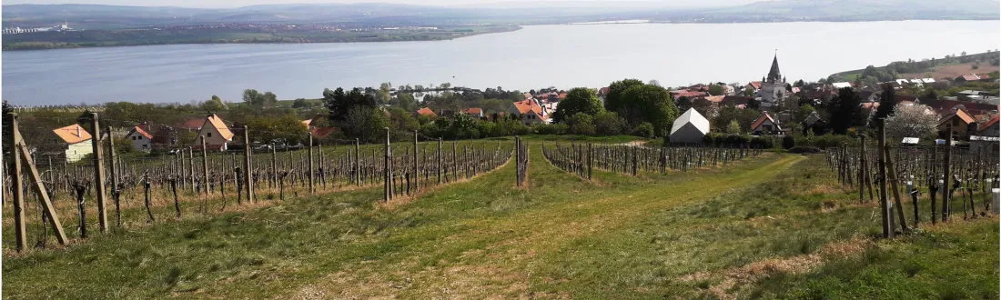 Pálava