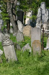 Židovský hřbitov